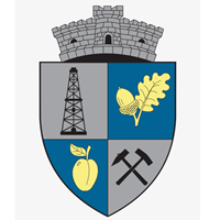 comuna-gura-ocnitei