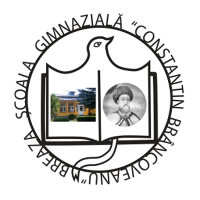 scoala-gimnaziala-constantin-brincoveanu-prahova