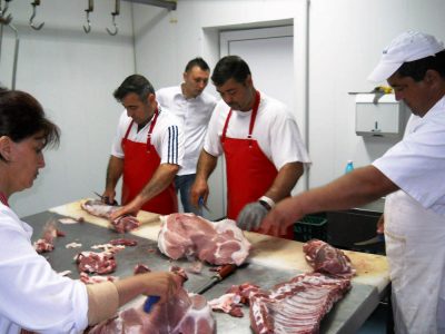 Cursuri calificare gratuite sau cu plata Macelar (28)